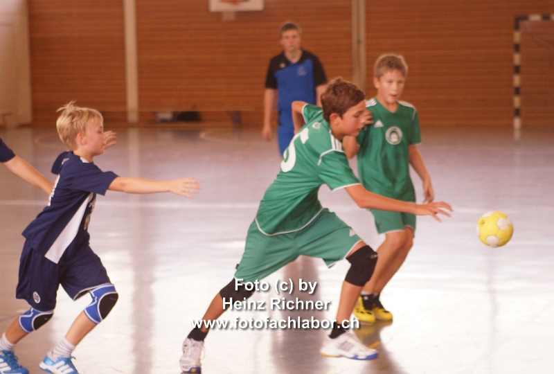 3120179 hvo_2.jpg